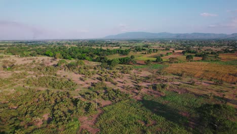 Granja-De-Girasoles-Durante-La-Puesta-De-Sol-Con-Exuberantes-Hojas-Verdes-En-Una-Granja-En-África