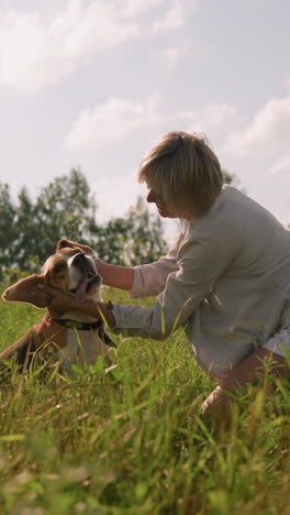 el dueño del perro en cuclillas en un campo cubierto de hierba frota cariñosamente la cabeza del perro mientras el perro lamia la boca felizmente, rodeado de exuberante vegetación, con una mariposa volando cerca en un día soleado