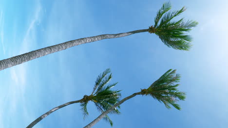 hermoso paisaje de palmeras de coco y nubes blancas alrededor del cielo azul