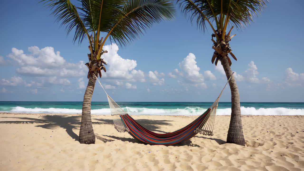 Tropical Beach Hammock Under Palm Trees