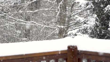 La-Nieve-Se-Acumula-En-La-Barandilla-De-La-Cubierta-Mientras-La-Nieve-Cae-Sobre-El-Fondo-Del-Bosque