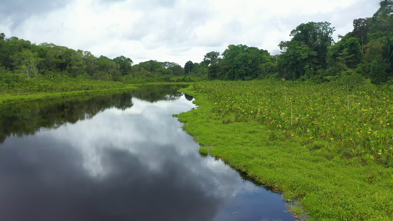 Cinematic drone shot of the the Amazon river then slowly rising