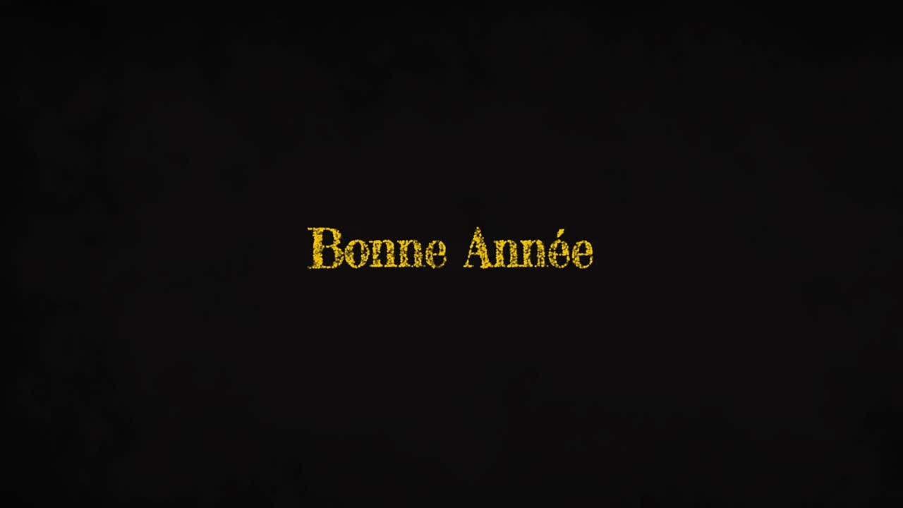 Screen appearing, gold Bonne Annee text bursting fireworks, drifting snowflakes to welcome new year