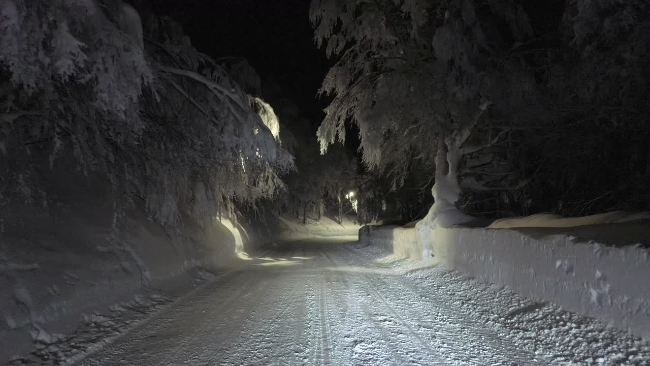 밤에는 눈 에 나무로 둘러싸인 도로입니다.