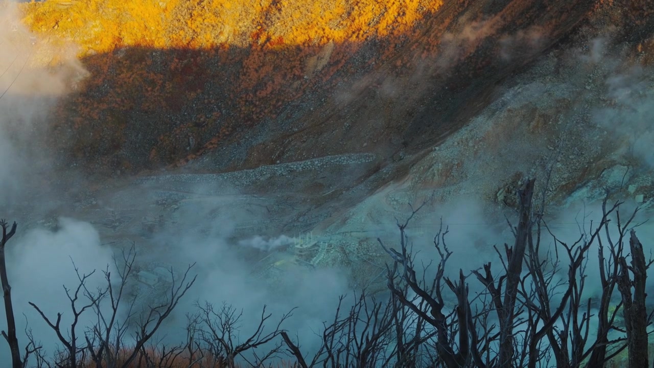 Sopečná krajina s párou a holými stromy v Hakone v Japonsku za zlatého světla. Filmová přírodní scéna s dramatickou geotermální atmosférou.