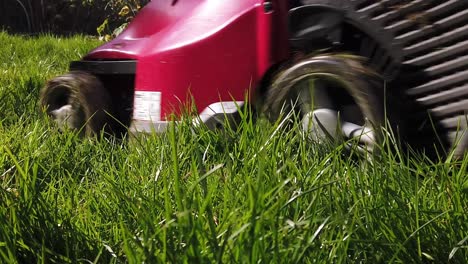 lawnmower cutting long grass in a residential garden