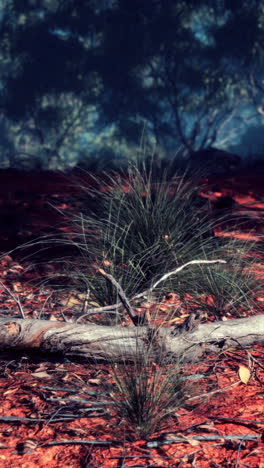 forest floor with grass and a log