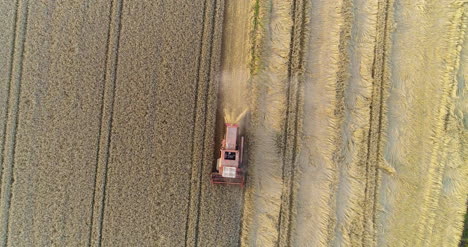 Mähdrescher-Ernten-Landwirtschaftliches-Weizenfeld-6