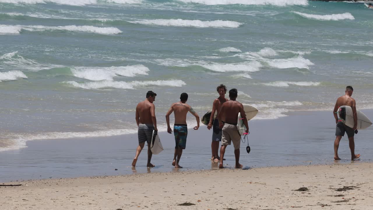 모래 해변 에서 서핑 보드 를 들고 는 서퍼 들 의 그룹