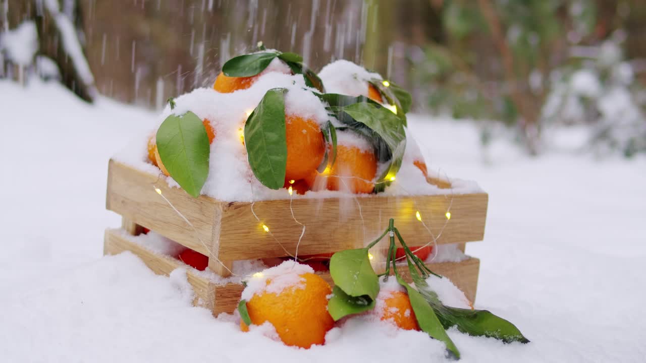 나무 상자에 겨울 오렌지