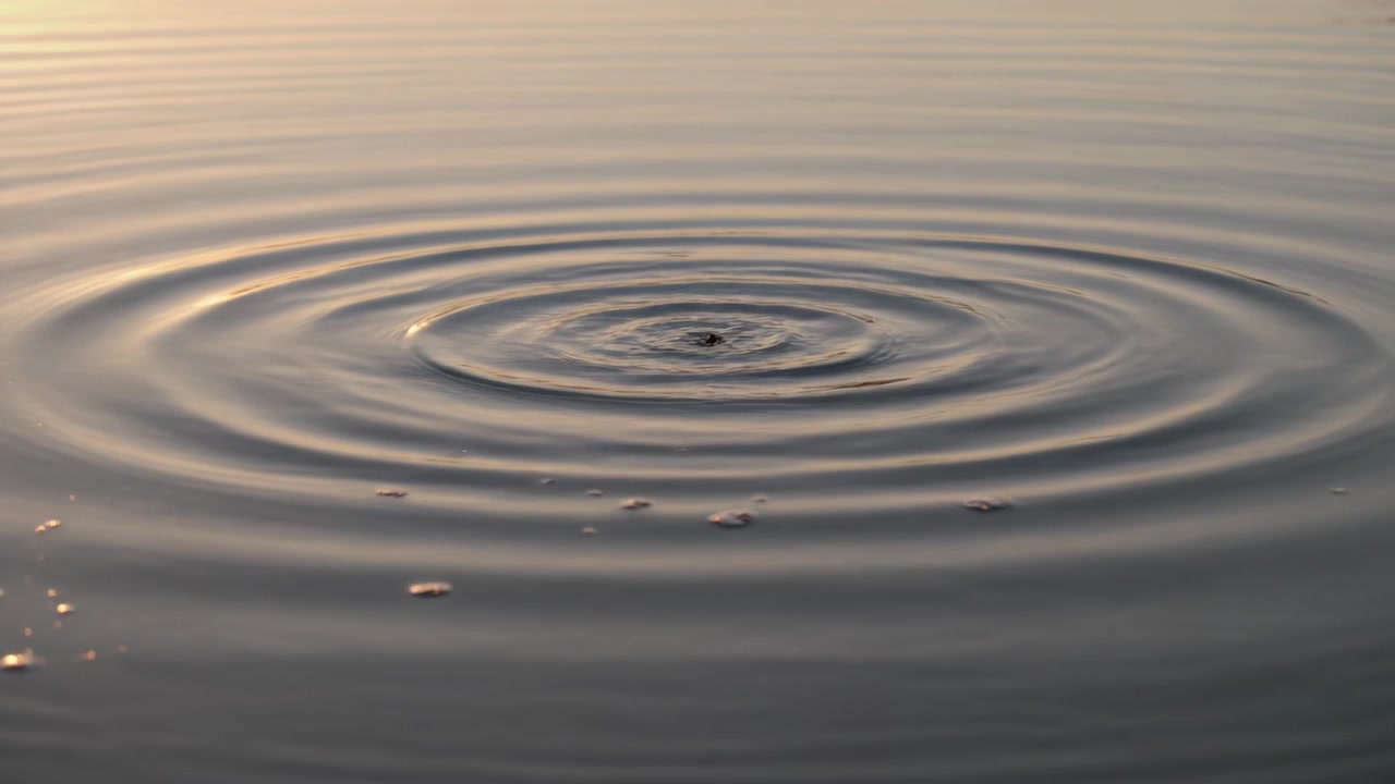 Goccia che colpisce formando increspature circolari sull'acqua calma del lago, trasportando piccoli detriti, sole caldo