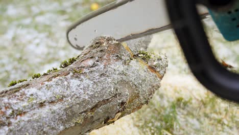 Sawing-tree-trunk-with-electric-chainsaw,-closeup