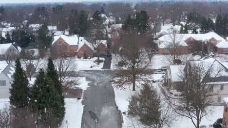 Winterlicher-Schneesturm