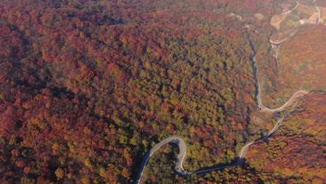 秋山的紅色曲線路