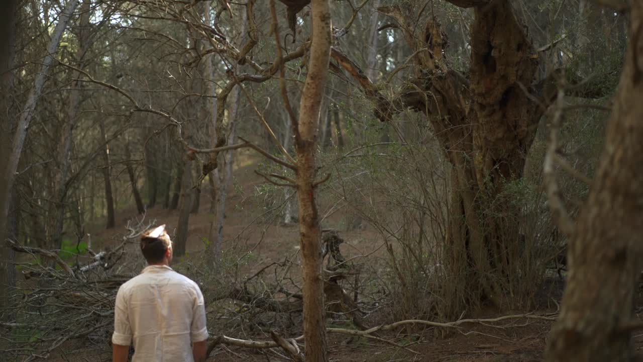 hippie, hombre, ambulante, por, bosque, árboles, llevando, natural, ropa, extracto