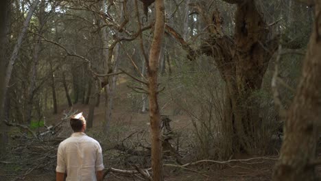 hippie, hombre, ambulante, por, bosque, árboles, llevando, natural, ropa, extracto