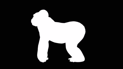 a gorilla standing idle on black background with alpha channel included at the end of the video, 3d animation, side view, animated animals, seamless loop animation