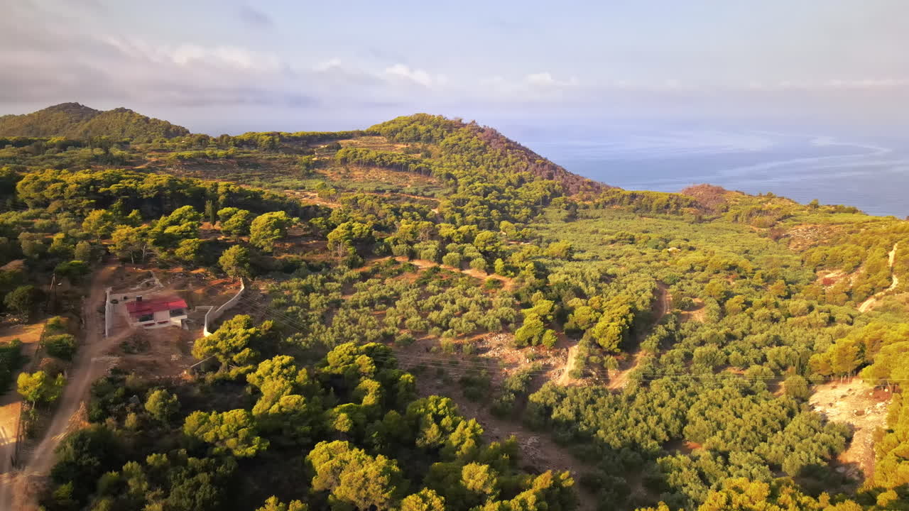 Aerial drone view of nature of Zakynthos, Greece. A lot of greenery, low hills, sunset, Ionian sea coast
