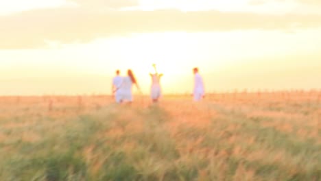 amigos caminando en un campo de trigo al atardecer