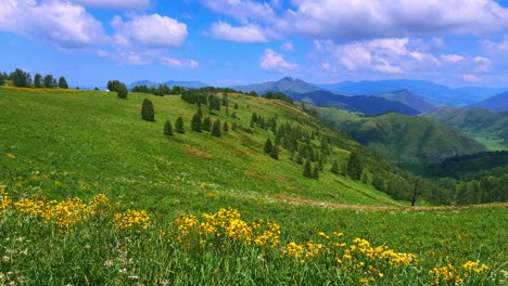 Lush Green Hills Under a Bright Blue Sky: A Serene Landscape of Rolling Meadows and Vibrant Wildflowers Capturing the Essence of Nature&#039;s Beauty