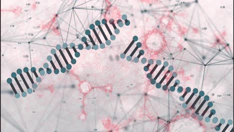 animación de una red de conexiones, adn y estructuras moleculares flotando contra un fondo gris.