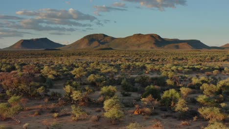 aerial: spectacular african plain savannah landscape at golden light morning