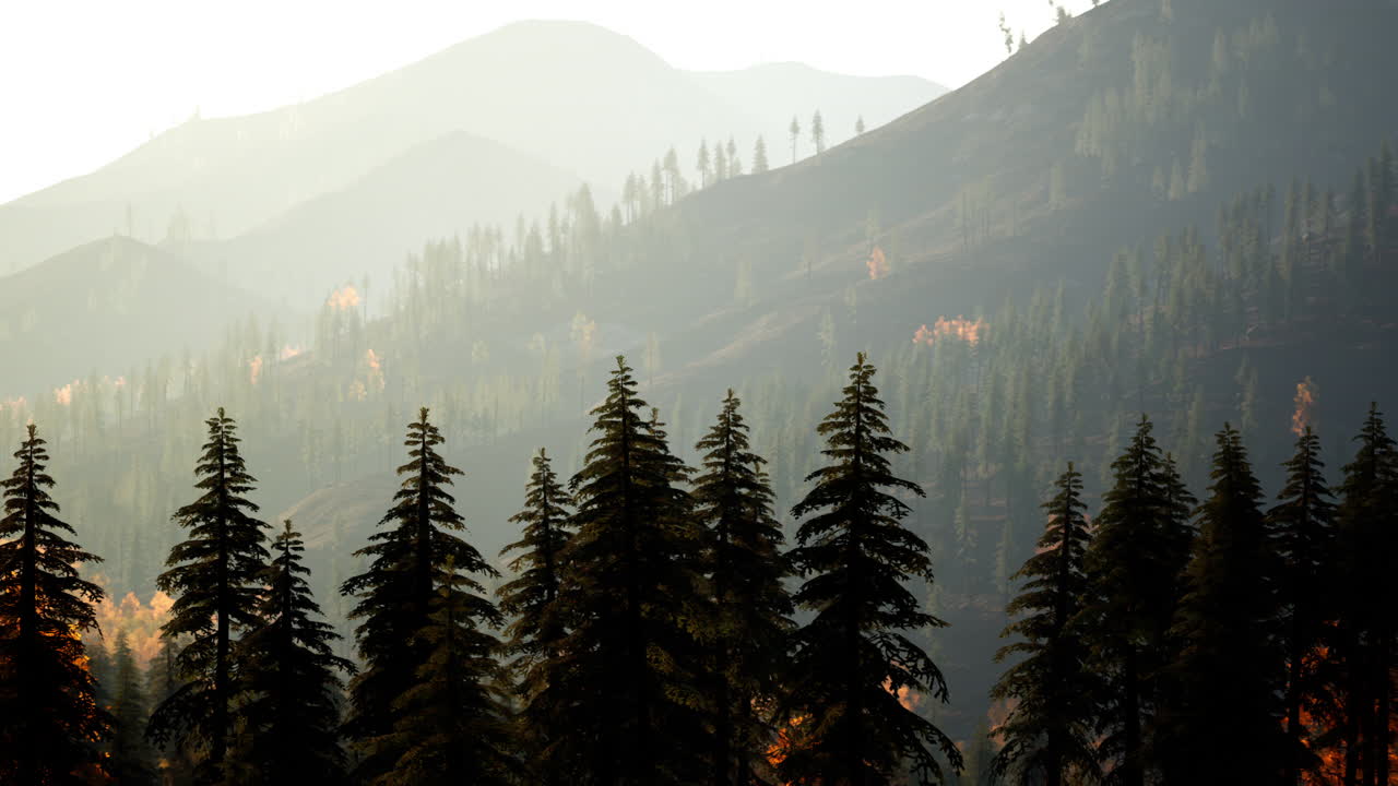 멀리서 나무와 안개가 있는 산맥