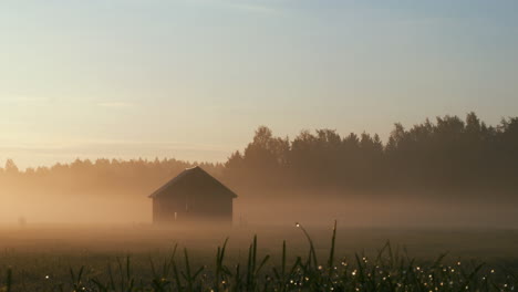 beautiful preserved nature landscape of finland, dolly shot of countryside barn in golden morning fog