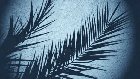 sombra de la planta sobre la pared moviéndose de la brisa de verano, secuencia de bucle 3d renderización de animación fondo azul