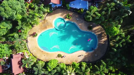 AERIAL:-Top-Down-shot-of-a-Huge-Swimming-Pool-Surrounded-by-Palm-trees-in-Asian-Jungles-on-Koh-Chang-Island-in-Thailand