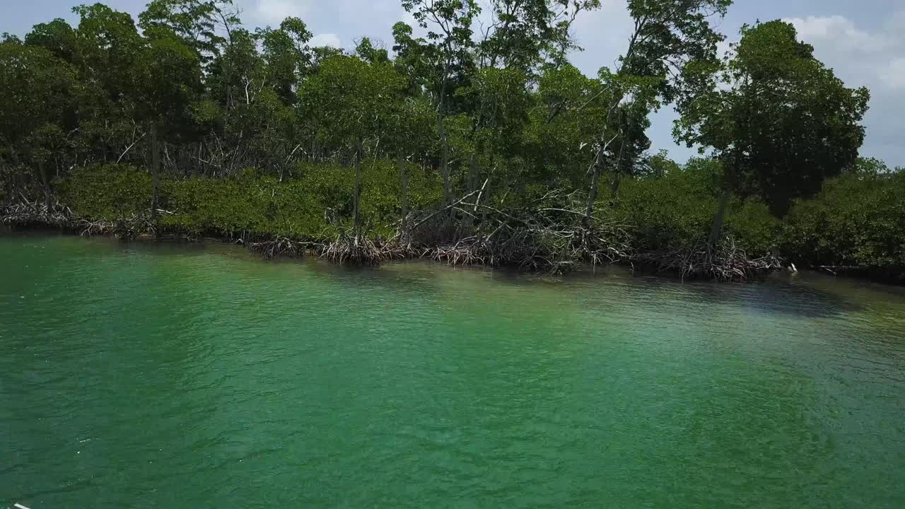 Thuyền du ngoạn trên vùng biển Caribe, rừng rậm ven bờ ở Belize.