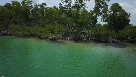 Boat-Cruising-on-Caribbean-Ocean-Water-Coastline-Jungle-in-Belize