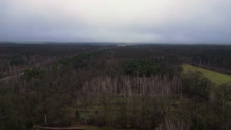 vista aérea de un ferrocarril que cruza un gran bosque bajo un cielo nublado, creando un paisaje temperamental y atmosférico. perfecta vista aérea panorámica de vuelo drone
