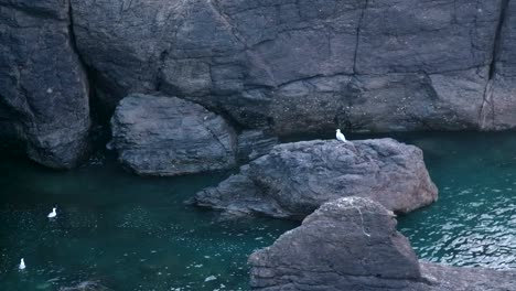 Acantilado-Y-Rocas-En-El-Océano