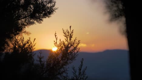 epic sunset while traveling through trees with hills and smooth bokeh in slowmotion in france in countryside summer vibes to it