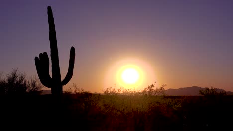 a beautiful sunset at saguaro national park perfectly captures the arizona desert 1