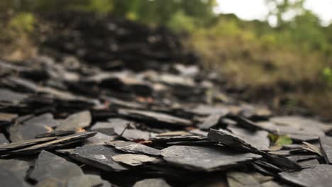 slate - building material for roofs in nature