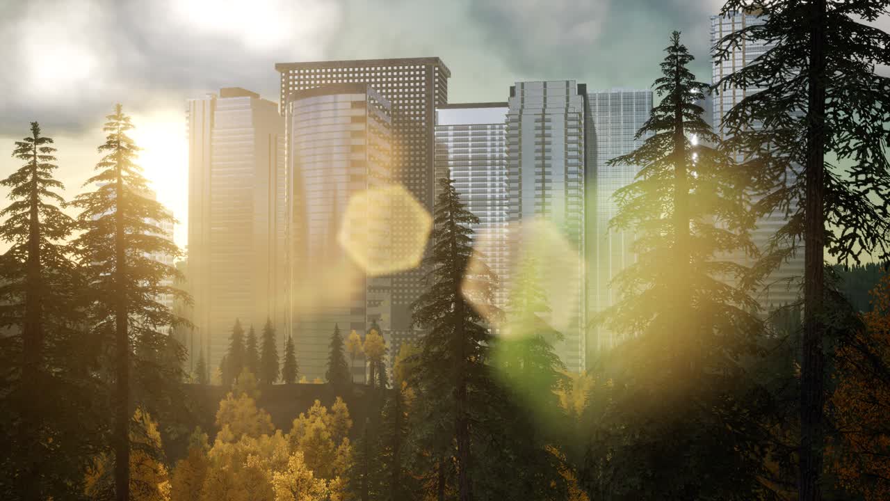 해가 지는 동안의 마천루와 공원 나무