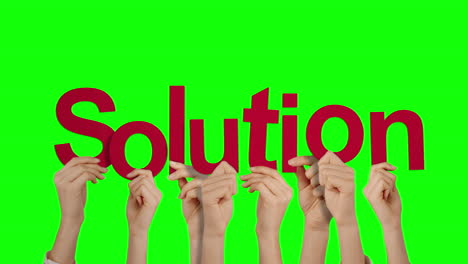 Hands holding up solution