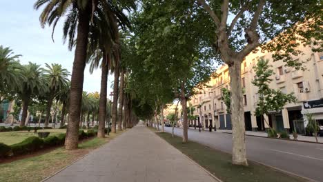 Stroll-along-city-streets-with-palm-trees-under-a-brilliant,-sunny-blue-sky