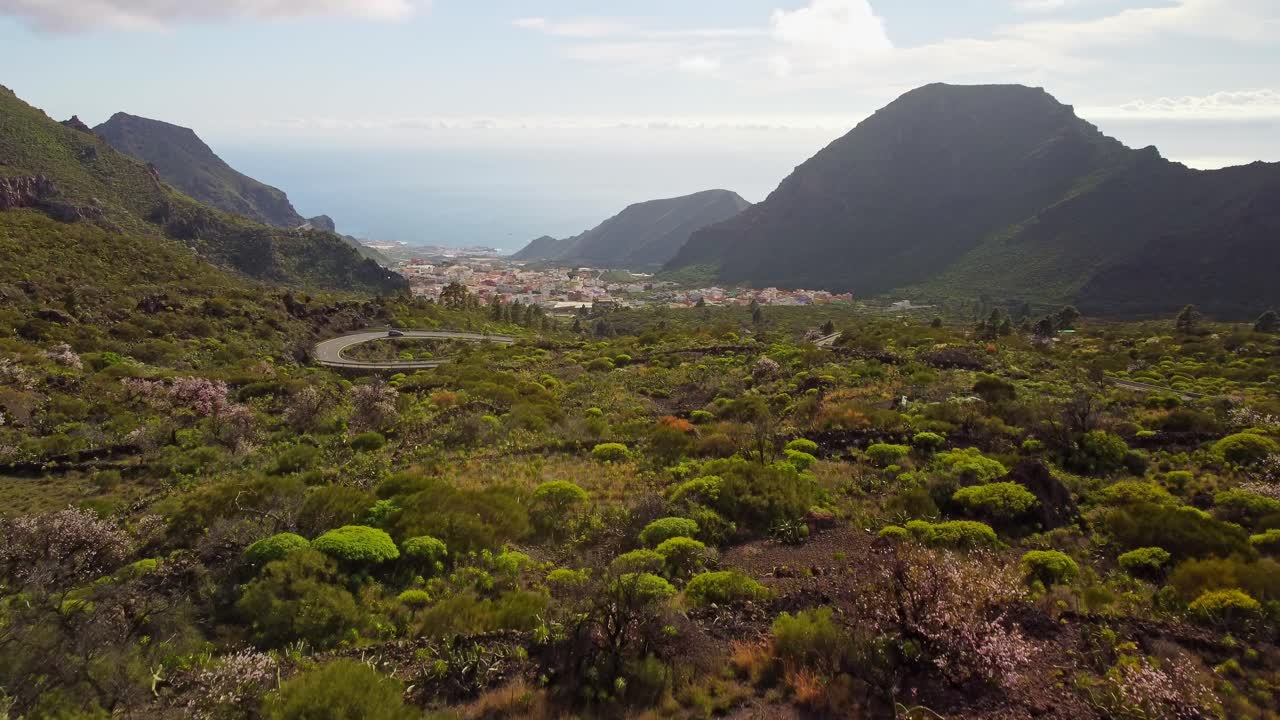 Cittadina costiera e vibrante paesaggio naturale dell'isola di Tenerife, veduta aerea