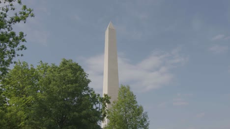 a revealing shot of the washington monument over some trees with a blue sky on a spring day