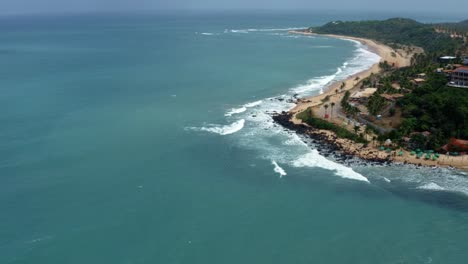 Tilt-down-bird's-eye-aerial-drone-shot-of-a-group-of-surfers-waiting-for-a-wave-on-their-boards-in-tropical-turquoise-water-in-the-coastal-town-of-Baia-Formosa-in-Rio-Grande-do-Norte,-Brazil