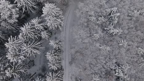 aerial view of a snowy forest in northern germany