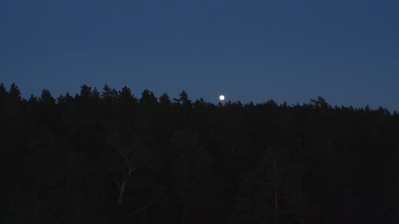 la luna piena che sorge sulle sagome scure delle cime degli alberi