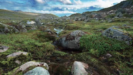rocas cubiertas de musgo bajo el cielo tormentoso en el paisaje nórdico de almidón