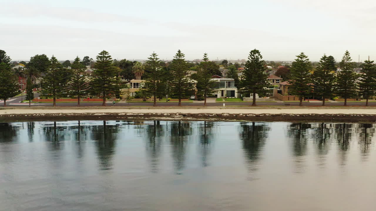 Lugnande morgonreflektioner av en hög trädrad längs stranden - Flygbild med dollyrörelse, låg höjd