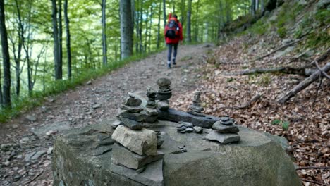 a young tourist woman walking on a mountain path