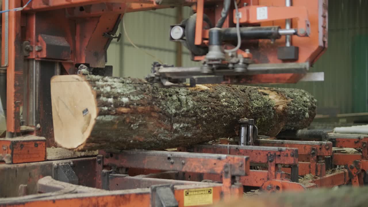 Industrial Band Saw Cutting Large Log in a Sawmill