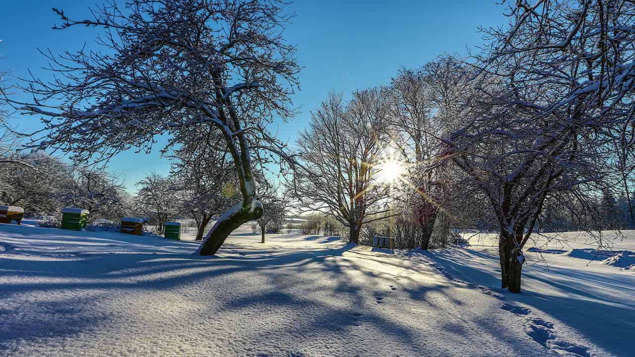 햇살 가득한 겨울날 숲의 눈 덮인 초원을 가로지르는 그림자 - 슬라이딩 동작 시간 경과